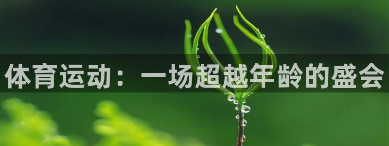 体育运动：一场超越年龄的盛会