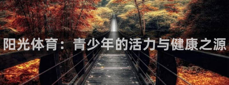 阳光体育：青少年的活力与健康之源