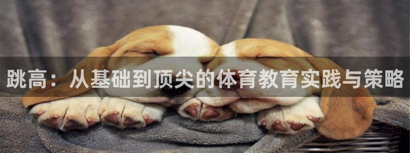 跳高：从基础到顶尖的体育教育实践与策略