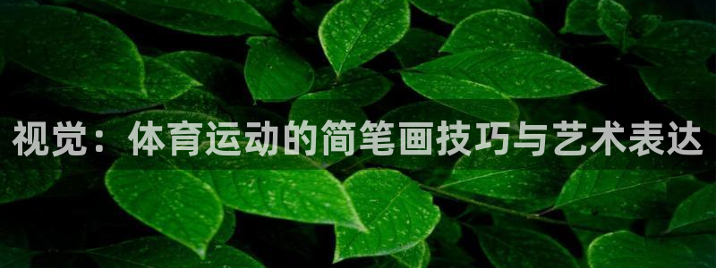 视觉：体育运动的简笔画技巧与艺术表达