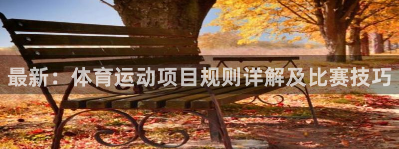 最新：体育运动项目规则详解及比赛技巧