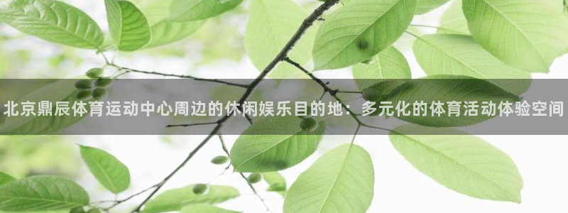 北京鼎辰体育运动中心周边的休闲娱乐目的地：多元化的体育活动体验空间
