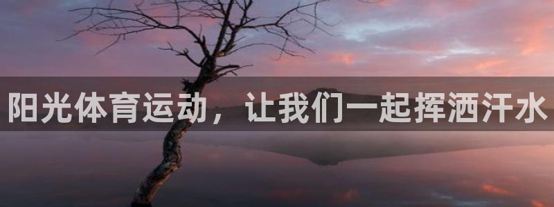 阳光体育运动，让我们一起挥洒汗水