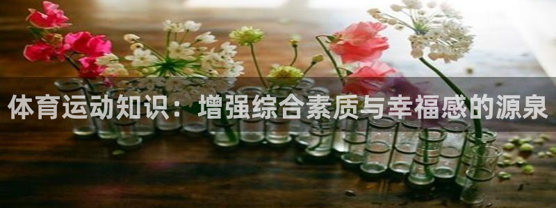 体育运动知识：增强综合素质与幸福感的源泉