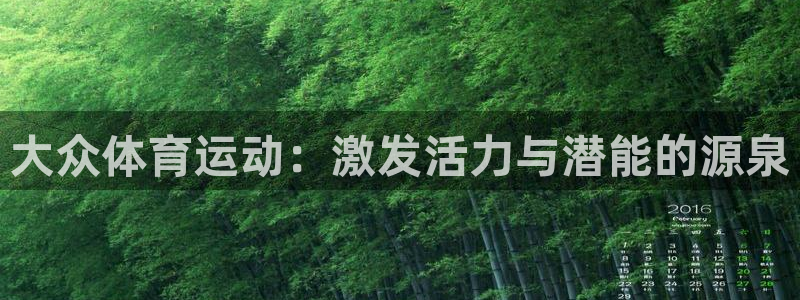 大众体育运动：激发活力与潜能的源泉