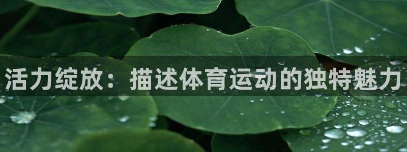 活力绽放：描述体育运动的独特魅力