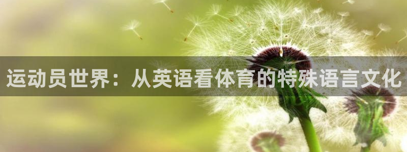 运动员世界：从英语看体育的特殊语言文化