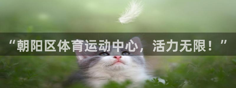 “朝阳区体育运动中心，活力无限！”